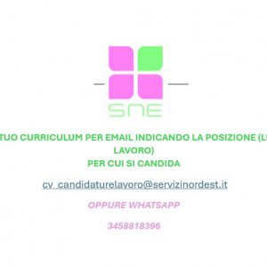 ADDETTI/E ALLE PULIZIE
