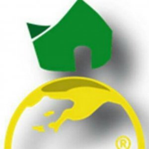 Agente Immobiliare