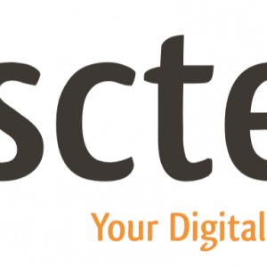 SENIOR SALESFORCE DEVELOPER