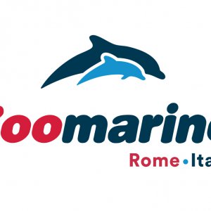 Assistente addestratore di animali