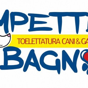 Cercasi