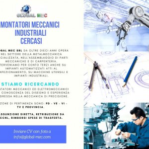 RICERCA MONTATORE MECCANICO 