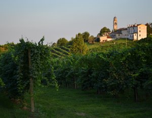 OPERAIO AGRICOLO