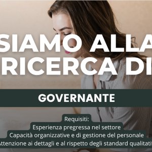 Cercasi Governante