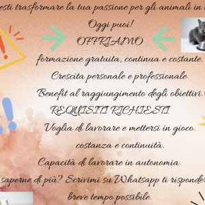 Consulenti alimentazione cane e gatto