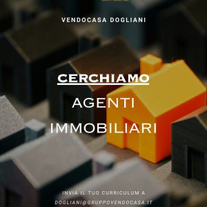CERCASI collaboratore immobiliare 