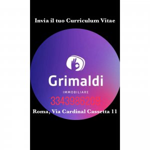 Grimaldi ricerca SEGRETARIA/O a Roma, RM, Italia
