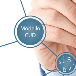 IMPIEGATO ADDETTO PAGHE E CONTRIBUTI a Cervia, RA, Italia