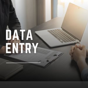 Beginner Data Entry & PDF to Word Typing (Remote)