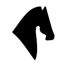 Agente di commercio per 2 brand- Padova 