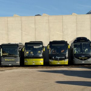 Pegoraro Tour ricerca AUTISTA BUS a Levico Terme, TN, Italia