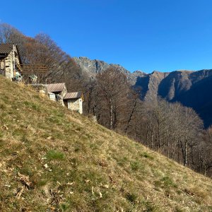 Olivier  ricerca GIARDINIERE a Orasso, VB, Italia