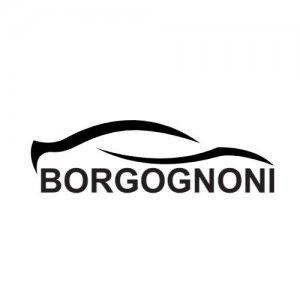 Borgognoni srl ricerca MECCANICO a Roma, RM, Italia