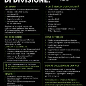 CS Consul Service ricerca RESPONSABILE VENDITE a Brescia, BS, Italia