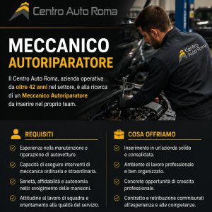 Centro Auto Roma ricerca MECCANICO a Roma, RM, Italia