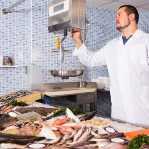 ATTAL GROUP SPA ricerca ADDETTO BANCO PESCHERIA a Imperia, IM, Italia