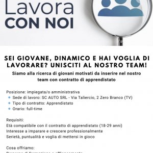 Sc auto srl  ricerca IMPIEGATO COMMERCIALE E VENDITORE AUTOMOTIVE a Zero Branco, TV, Italia