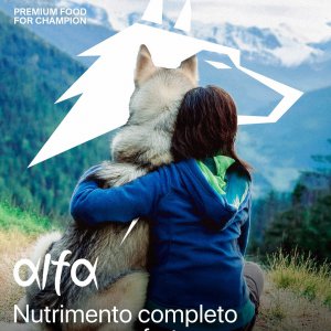 ANTICHI FENICI srl ricerca AGENTE DI COMMERCIO a Catania, CT, Italia