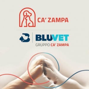 IDV CHIAVARI cerca MEDICO VETERINARIO ANESTESISTA