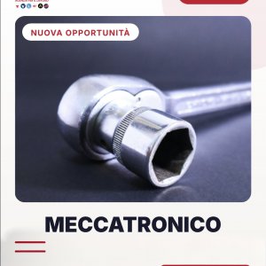 ATTALGROUP SPA ricerca RESPONSABILE TECNICO MECCATRONICO a Biella, BI, Italia