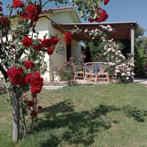 FRC srls  ricerca BARISTA a Bolsena, VT, Italia
