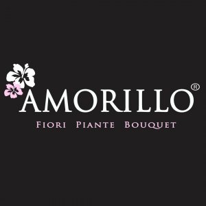 Amorillo srl ricerca FIORISTA esperta a Milano, MI, Italia