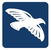 TUTTONOLEGGI SRL ricerca OPERAIO GENERICO a Grisignano di Zocco, VI, Italia