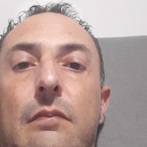 Stefano D