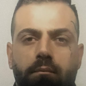 Mirko P