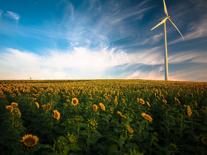 Foto Un argine agli eco-disastri: in Italia 3 milioni di “green jobs”