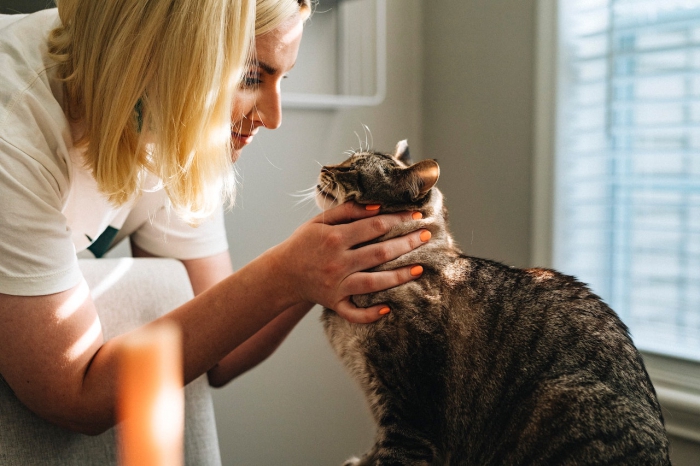 Foto Cosa fa e come diventare veterinario